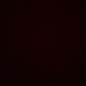 Meet your Posher, Penelope